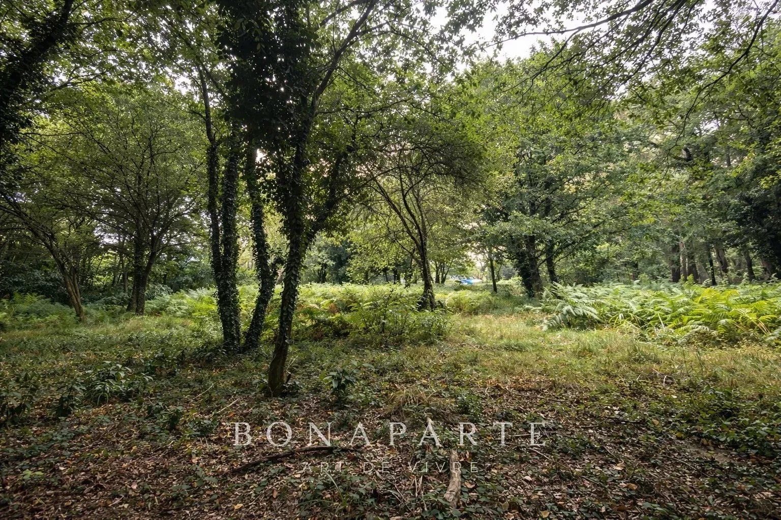 VANNES – VINCIN | TERRAIN CONSTRUCTIBLE 3 656 M² AVEC PERMIS PURGÉ
